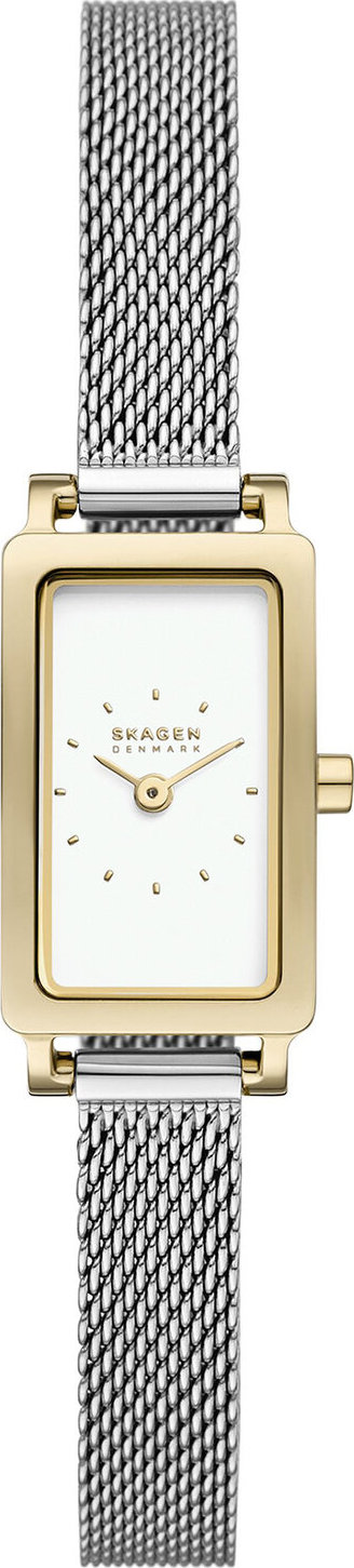 Hodinky Skagen SKW3147 Stříbrná