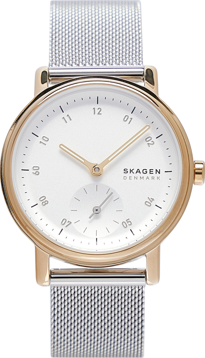 Hodinky Skagen Kuppel Lille SKW3101 Stříbrná